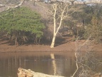 Afrique du Sud