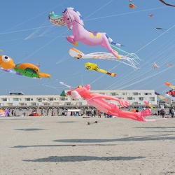 Berck