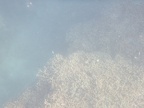 Ile Maurice